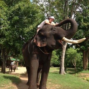 Meet your Posher, Mrs.